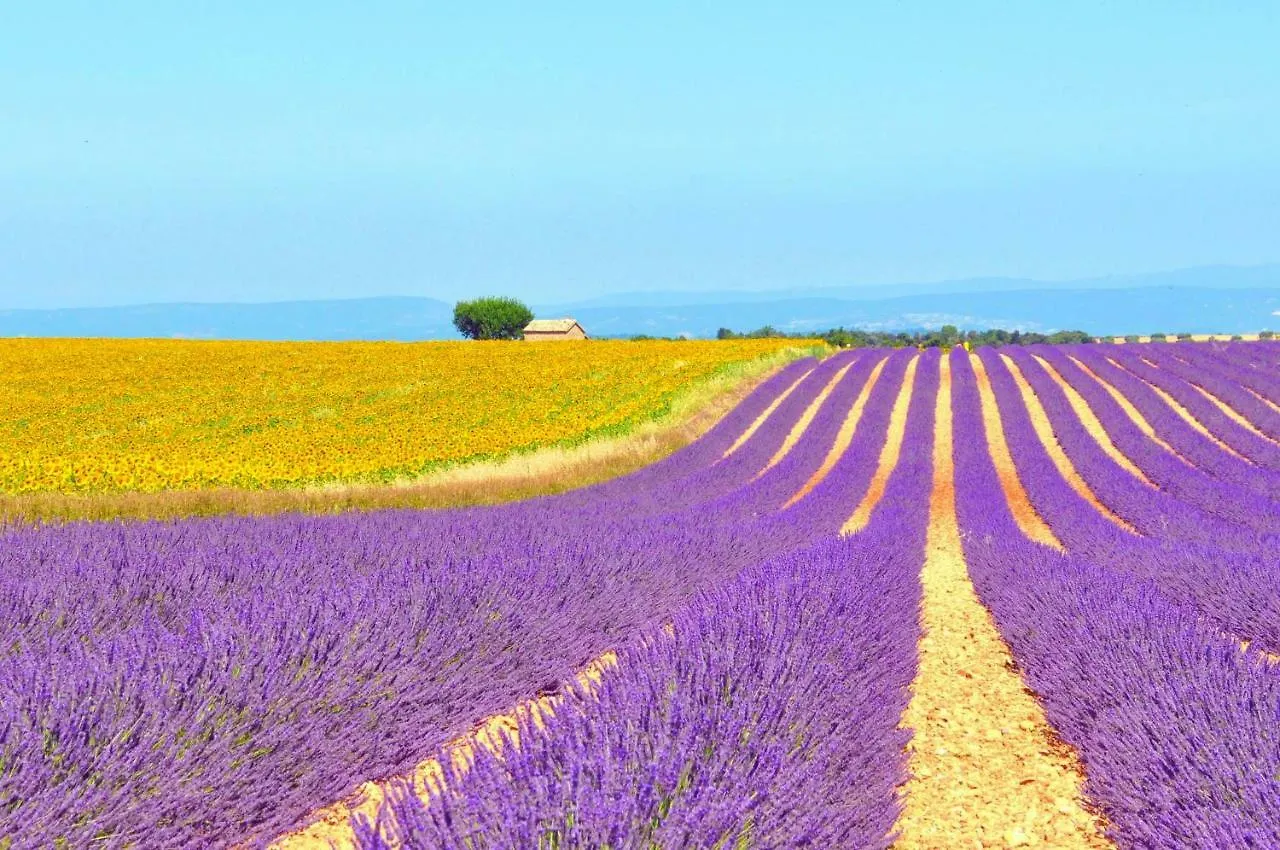 Вилла Ferme St Roch Robion en Luberon